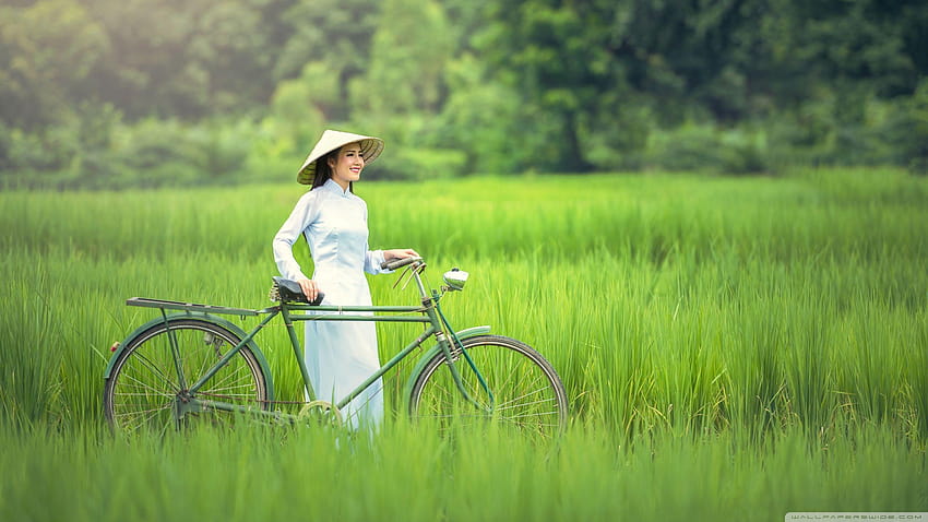 Ragazza, bicicletta, paesaggio del campo di riso ❤ per, campo di Sfondo HD