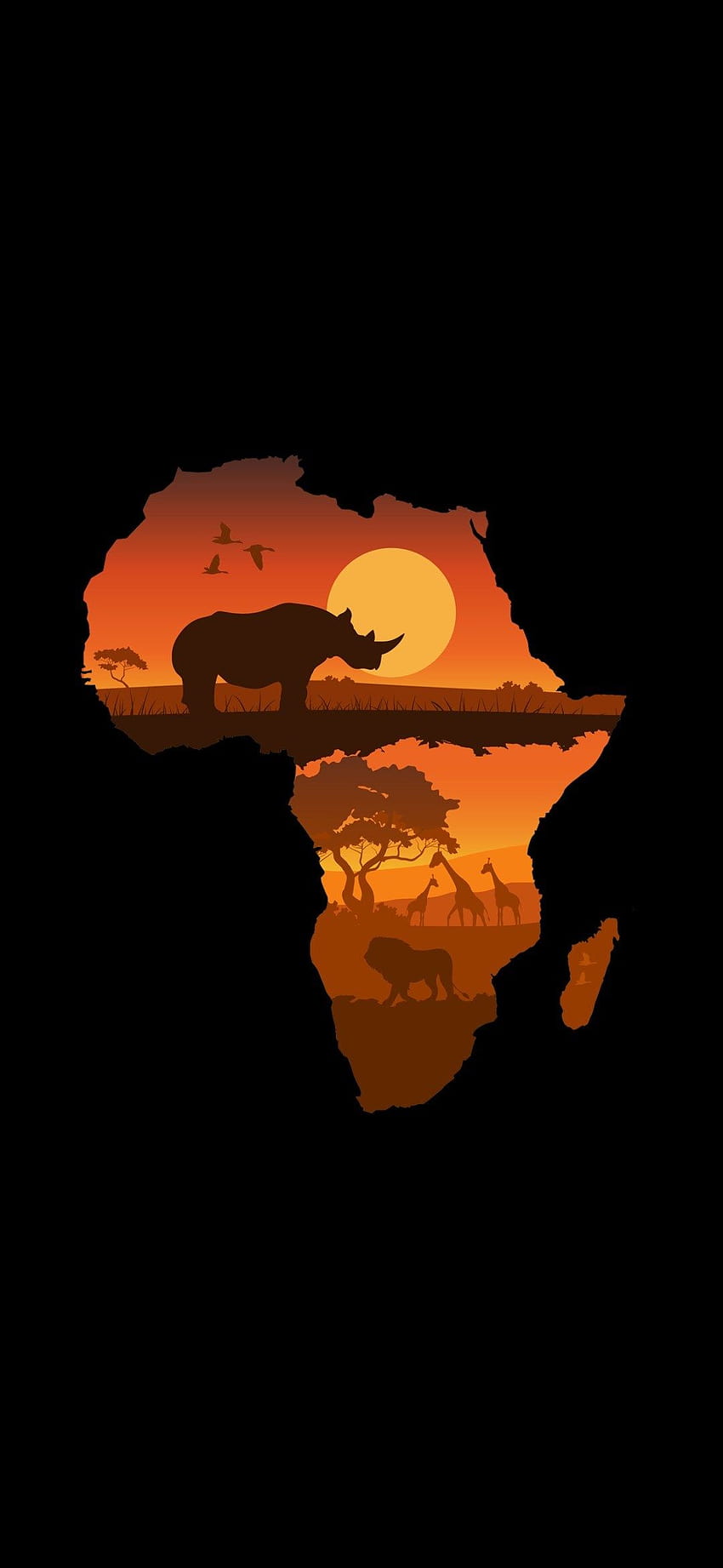 アフリカの野生生物 10802340、アフリカ iphone HD電話の壁紙