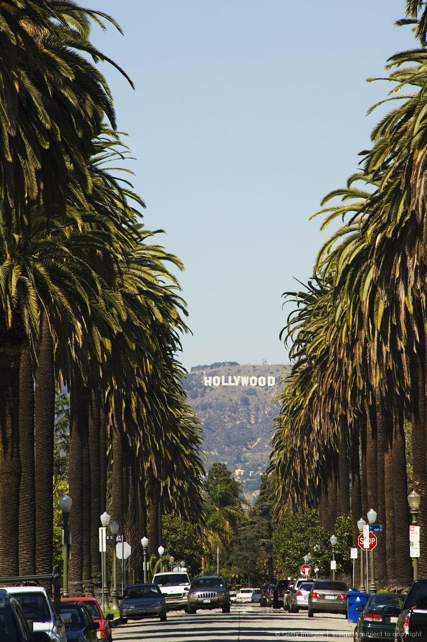 ハリウッド ヒルズとハリウッド サイン、ロサンゼルス、カリフォルニア州、ビバリー ・ ヒルズ HD電話の壁紙