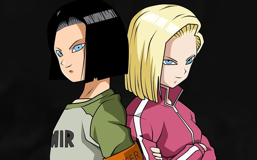 Android 17, Android 18, Fan Art, Dragon Ball, Dbs, android 17 dbz HD  wallpaper | Pxfuel