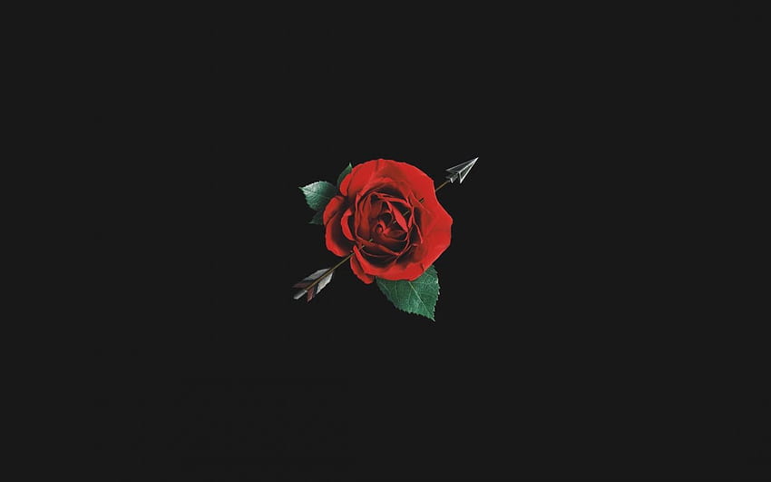 Aesthetic Red Rose With Black Backgrounds [2200x3300] for your , Mobile & Tablet, black and red aesthetic computer HD wallpaper