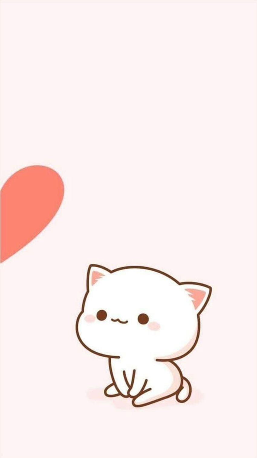 Worriers Cat Cute Kawaii Lock Screen HD phone wallpaper | Pxfuel