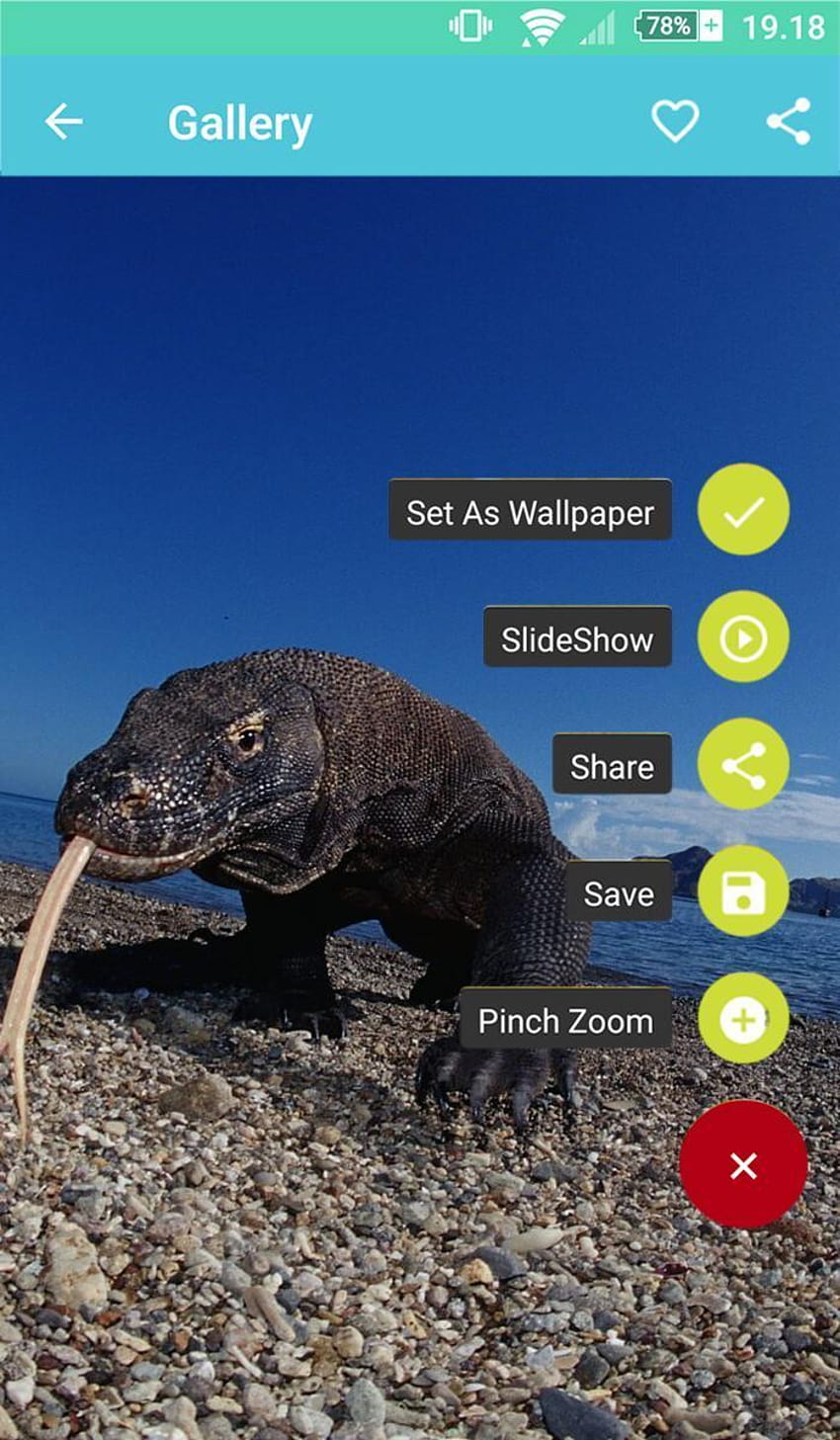Komodo Dragon for Android, android komodo island HD phone wallpaper