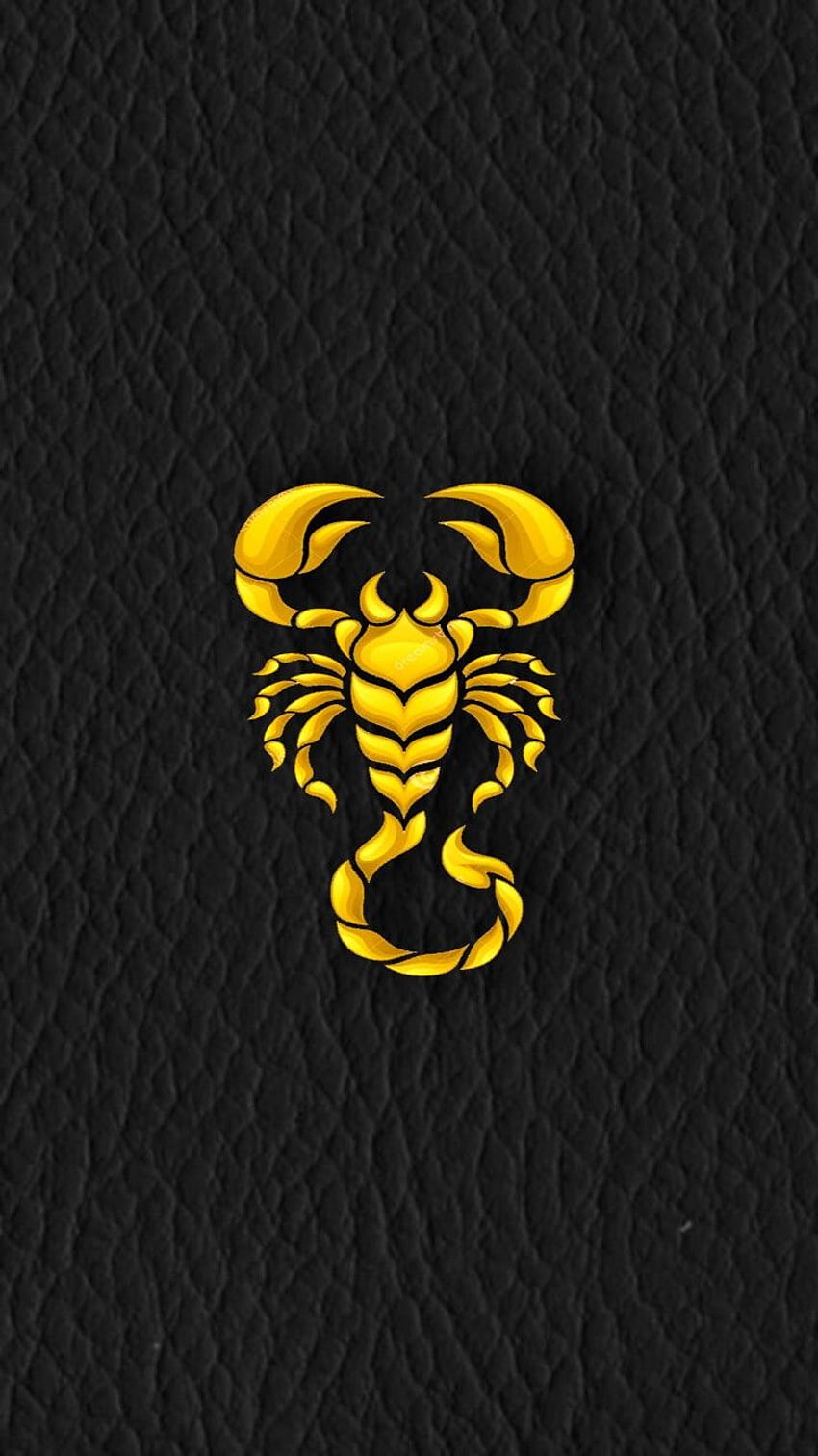Scorpion Iphone HD phone wallpaper
