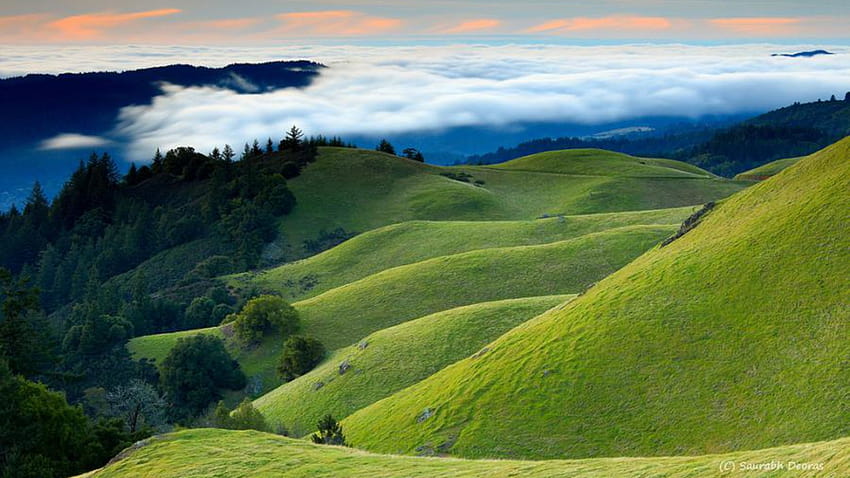 Hermoso paisaje, colinas cubiertas de hierba de anime. fondo de pantalla