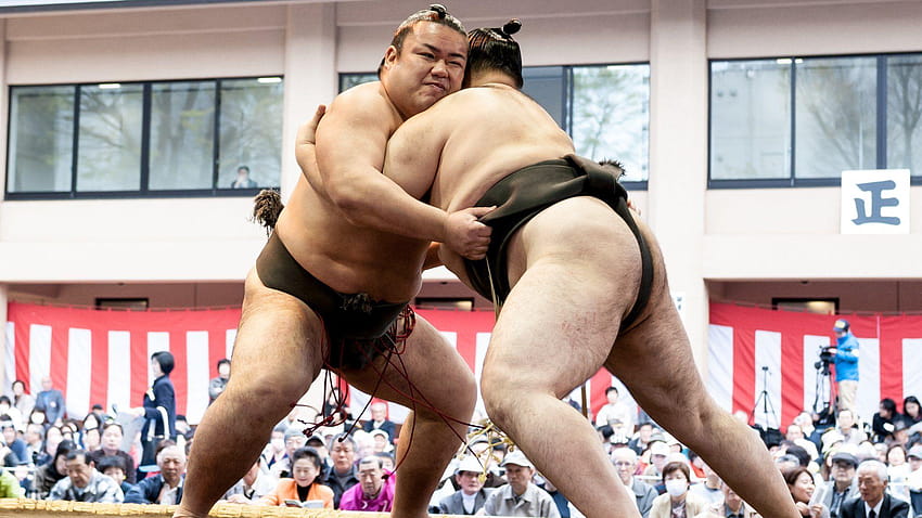Kisenosato, Japan's last remaining sumo champion, retires, sumo wrestlers HD wallpaper