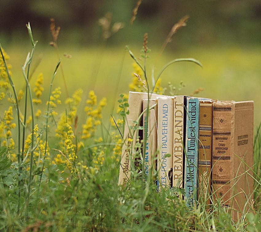 Many old books in the green grass, vintage book HD wallpaper