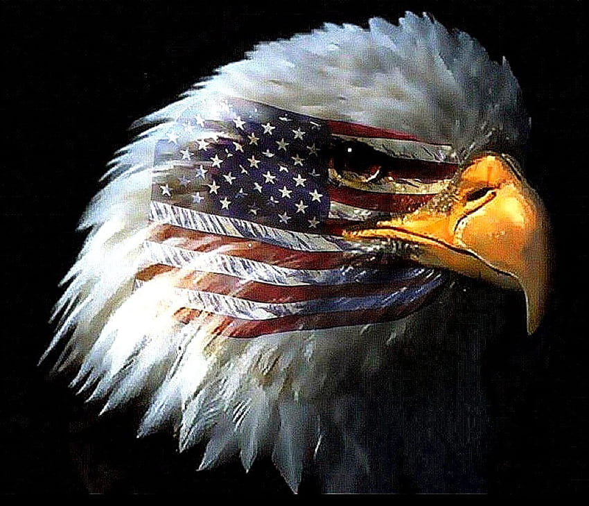 베스트 : 대머리 독수리 미국 국기, 멋진 독수리 깃발 HD 월페이퍼