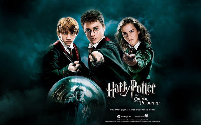 Ron Weasley , Harry Potter and Hermione granger VS Lord Voldemort, hermione  granger harry potter HD wallpaper | Pxfuel