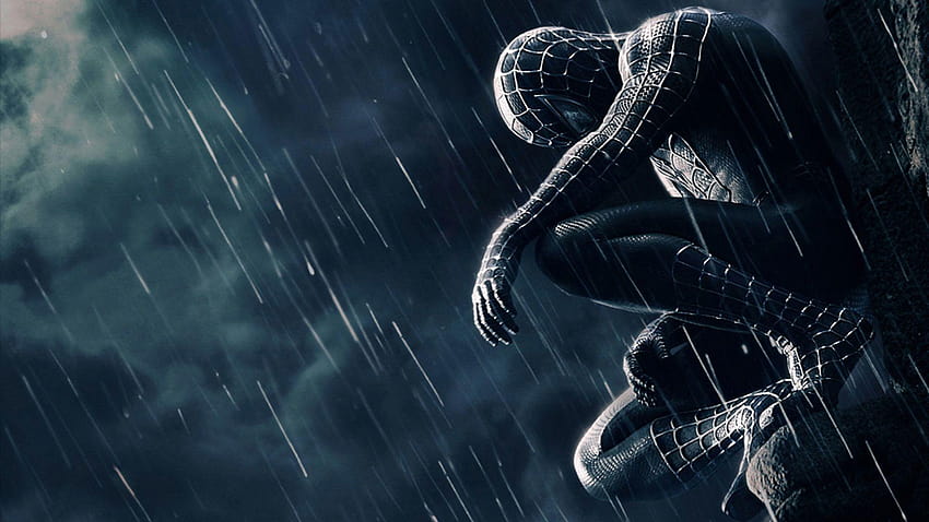 Spider Man, spiderman hitam untuk pc Wallpaper HD