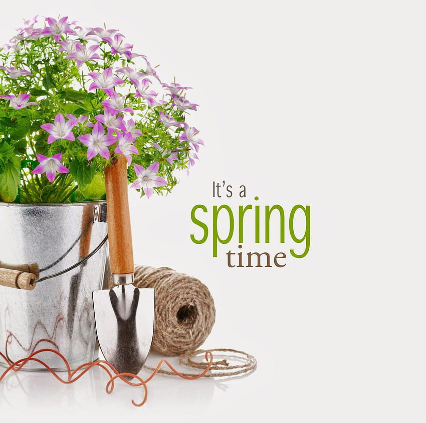 Flowers: Spring Flowers Time graphy Jardinagem Flower Computer papel de parede HD
