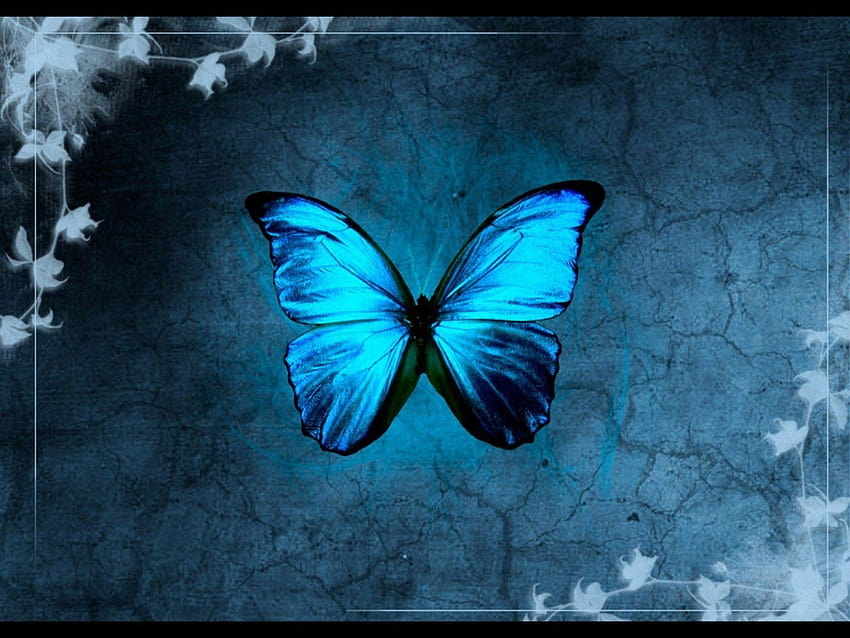 abstract blue butterfly 1600x1200 High Quality HD wallpaper