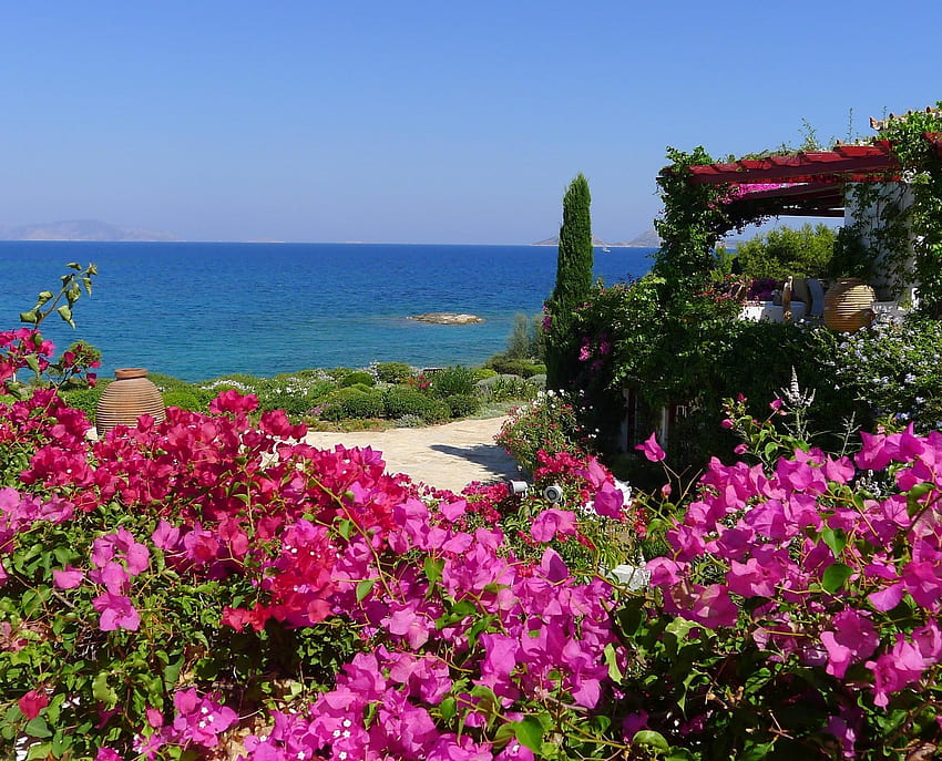 beautiful, garden, sea, summer, flowers, coast, plants ::, summer garden HD wallpaper