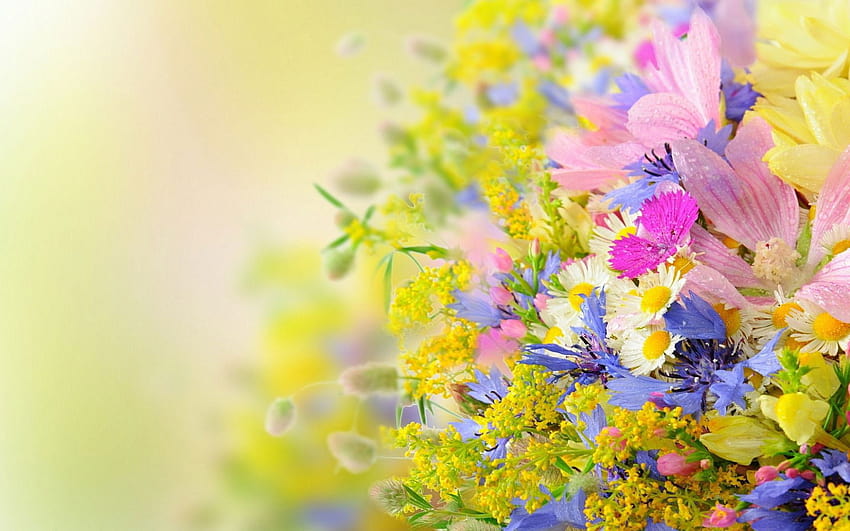 Flor, Planta, Primavera, Flores, Flor, Floral, Jardim, Folha • Para você, verão floral papel de parede HD