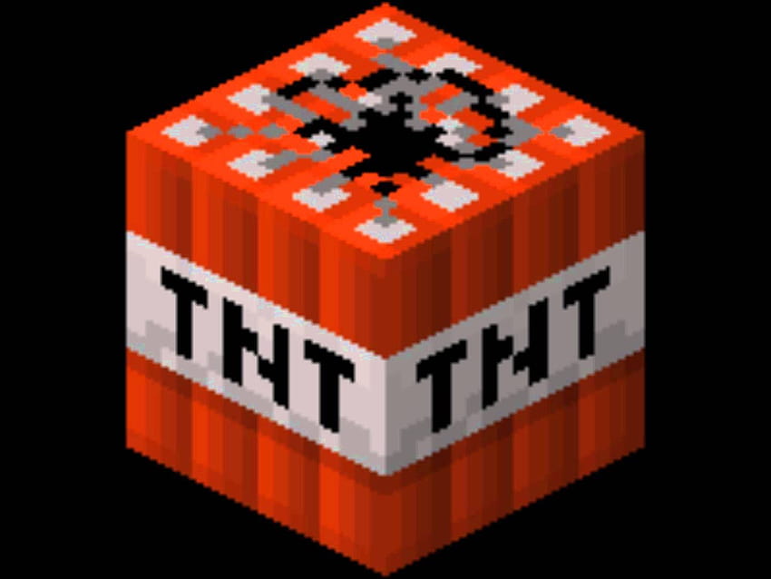 Minecraft TNT on Dog HD wallpaper