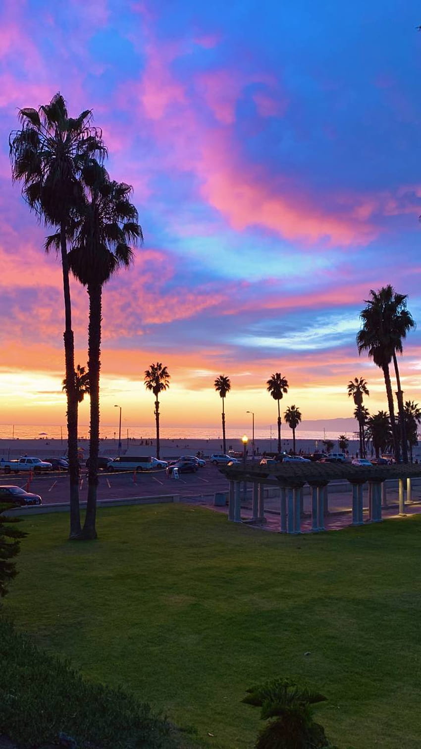 LOS ANGELES SUNSET by Samshou HD 전화 배경 화면