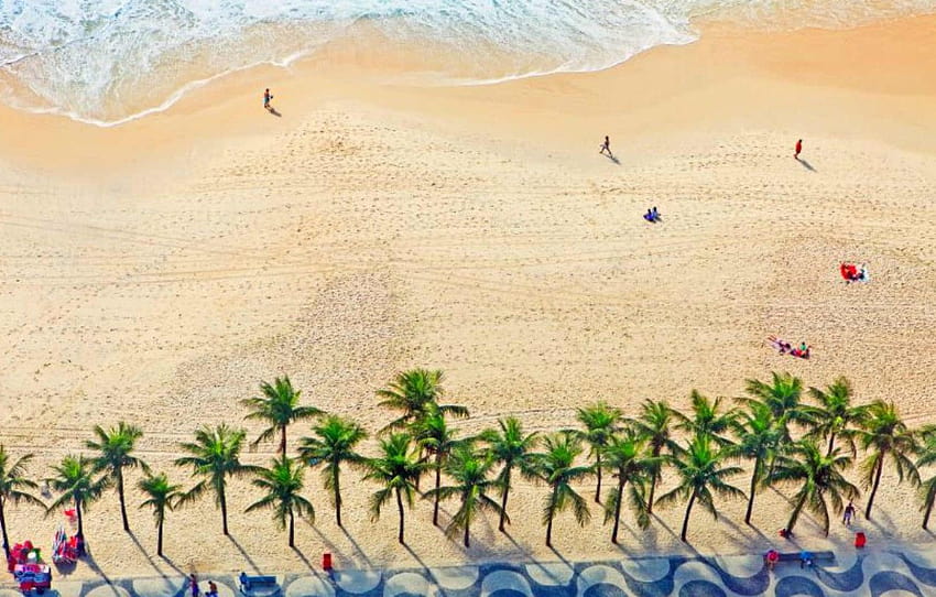 palm trees, shore, Brazil, Rio de Janeiro, Copacabana beach , section пейзажи HD wallpaper