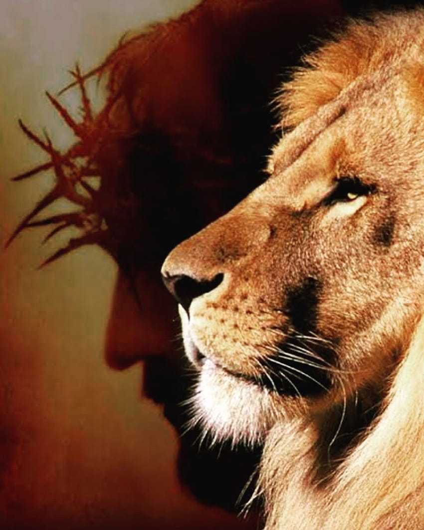 pitbullrocky, jesus lion HD phone wallpaper