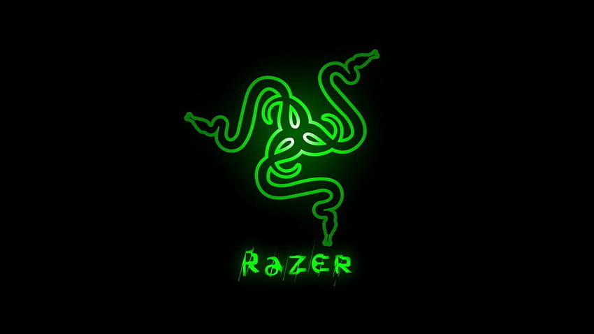 Simply : Razer green bakcgrounds, razer full ace HD wallpaper | Pxfuel
