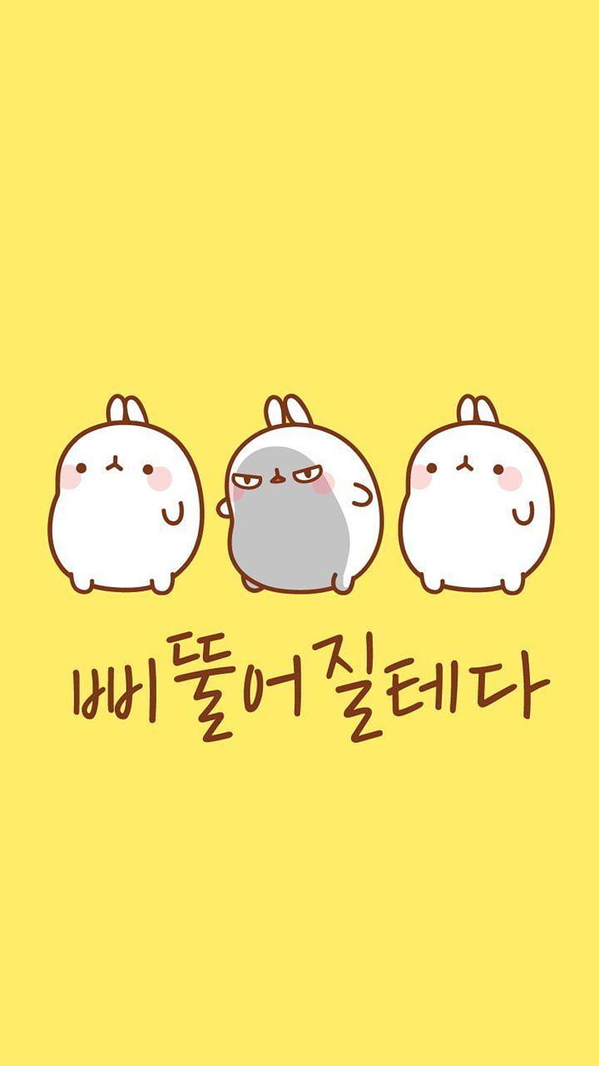 Download Cute Things Molang The Mouse Wallpaper | Wallpapers.com