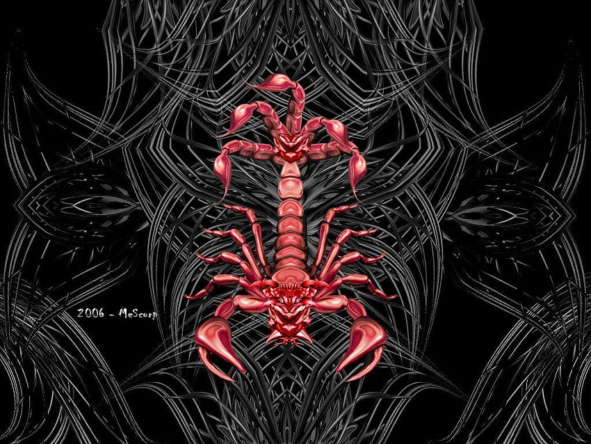 Tribal Scorpion por MeScorp, escorpião vermelho papel de parede HD