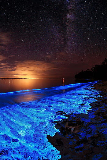 The Breathtaking Sea of Stars in The Maldives