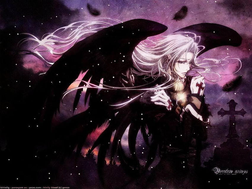 Fresh Dark Angel Anime HD wallpaper | Pxfuel