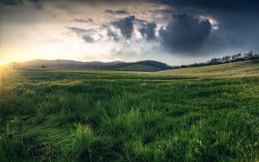 Cloudy weather, rainy spring HD wallpaper