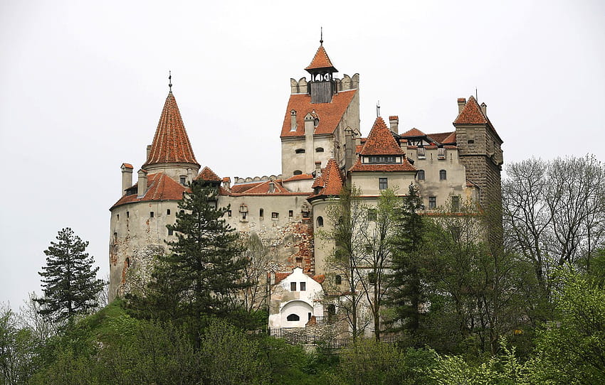 Kota, Pepohonan, Kastil, Rumania, Bran Castle , bagian город, kastil Wallpaper HD