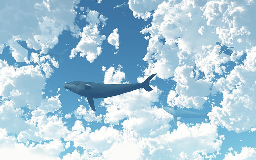 16 Best sky whale ideas, sky whales HD wallpaper