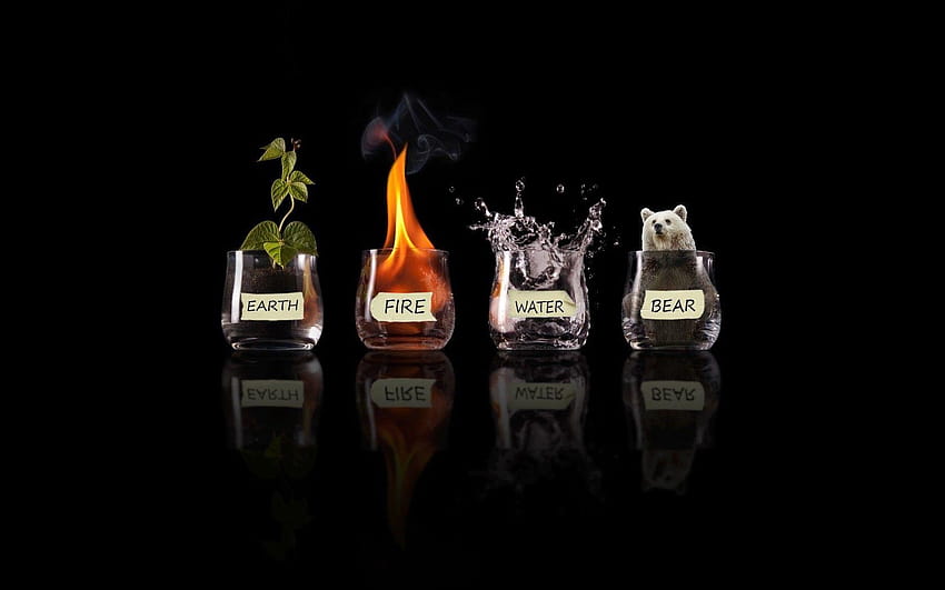 four elements humor and backgrounds, 4 elements HD wallpaper