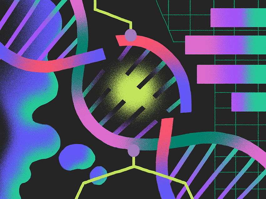 Human Embryo Gene Editing Gets a Road Map, cyber genetic enhancements HD wallpaper