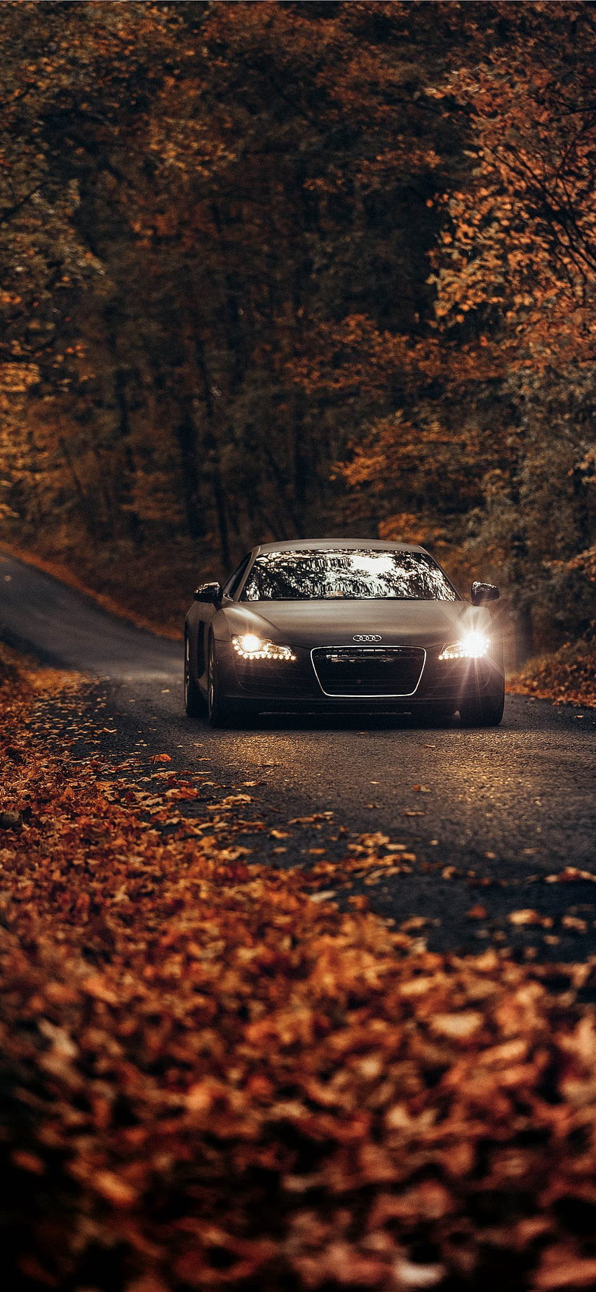 Fall Drives on Country Roads in 2020, car iphone 11 HD phone wallpaper