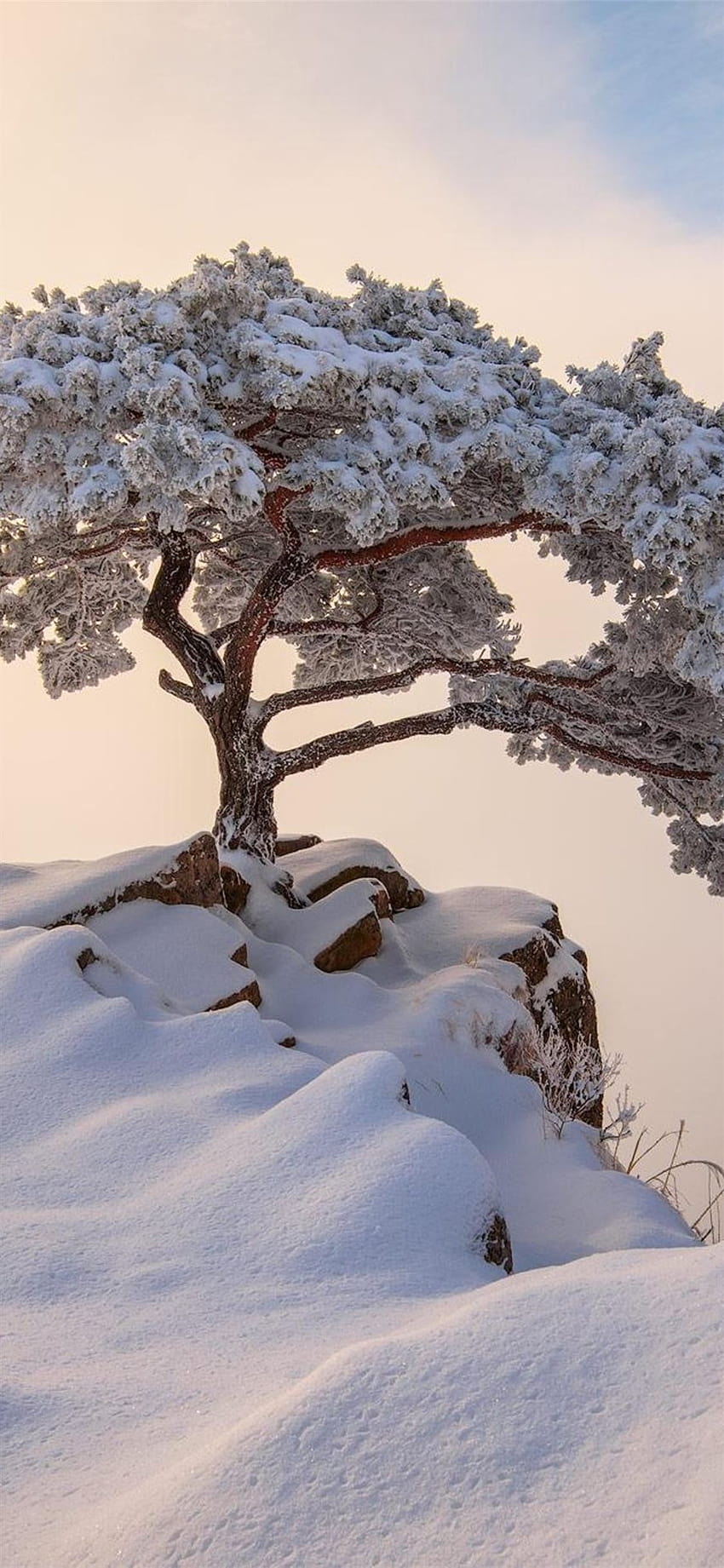 corea del sur diciembre invierno iPhone X, estética coreana de invierno fondo de pantalla del teléfono