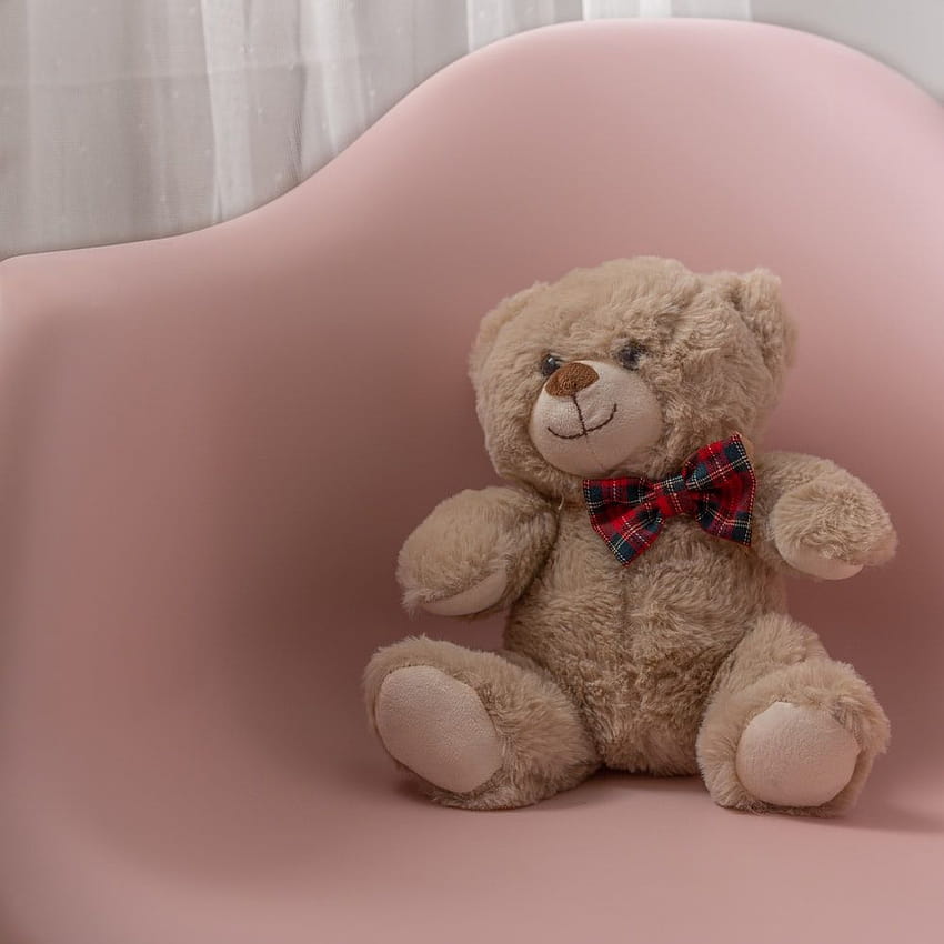 50 Best Teddy Bear [ ..., teddy aesthetic HD phone wallpaper