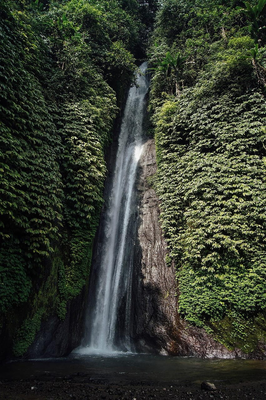 50 Atemberaubender Amazonaswald [], brasilianisches Klima HD-Handy-Hintergrundbild