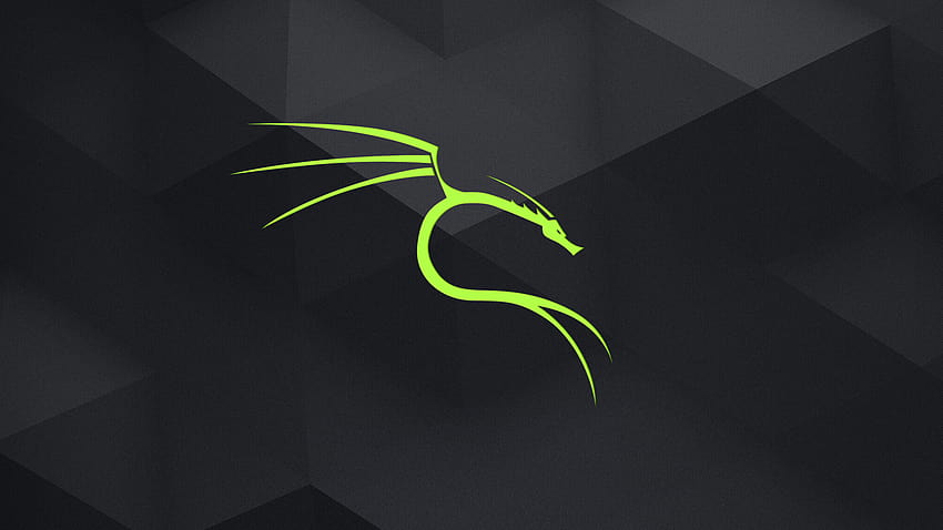 Kali Linux Dark-Betriebssystem HD-Hintergrundbild