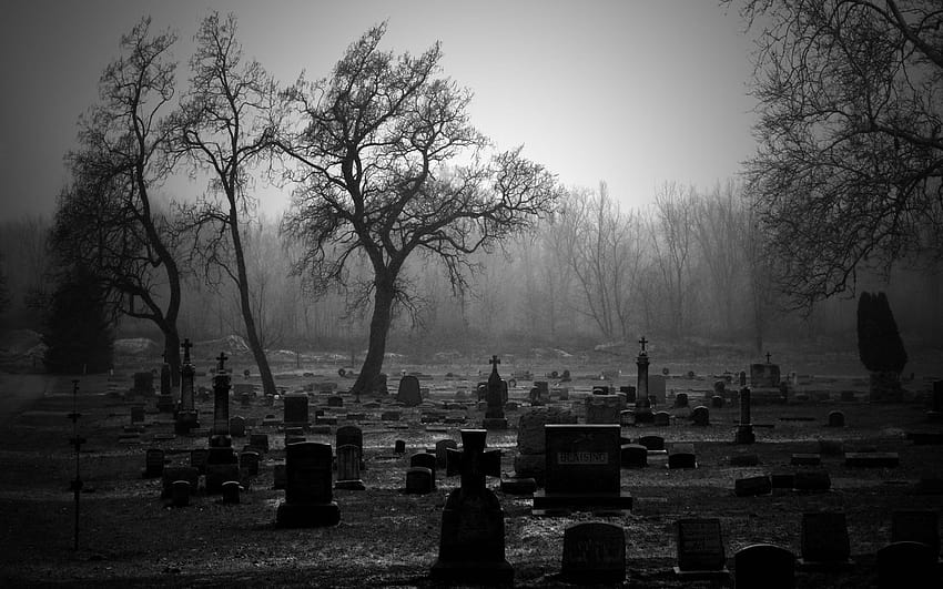 Cementerio el dia de todos los santos Sfondo HD
