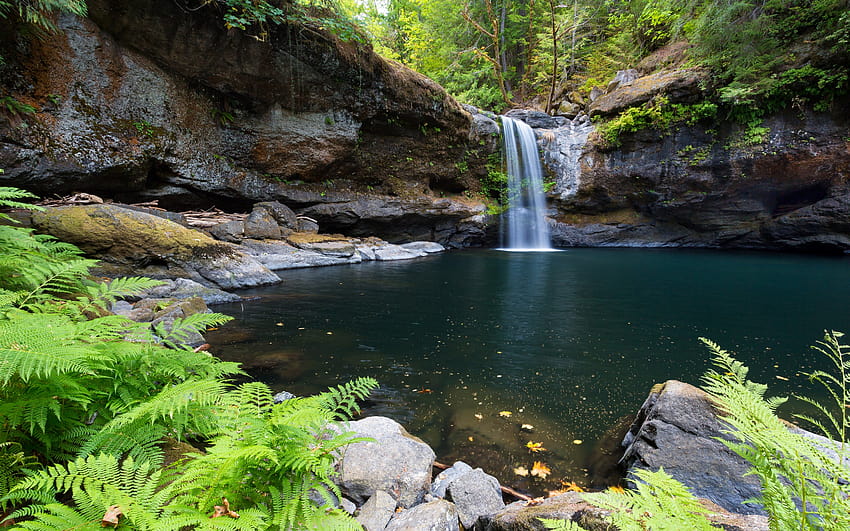 Coquille River Falls, Waterfall, Oregon, Forest 高画質の壁紙