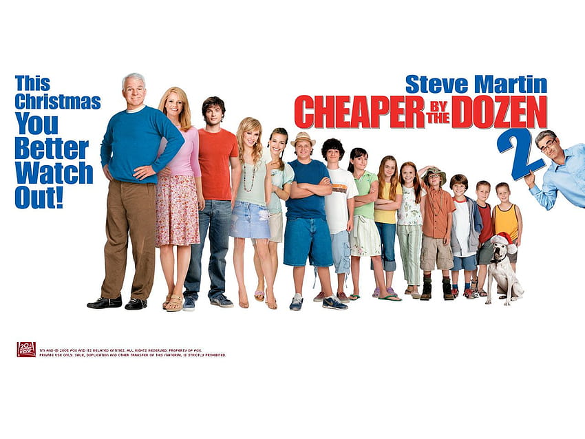 Steve Martin, cheaper by the dozen HD wallpaper