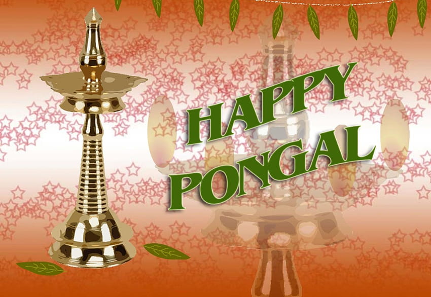Pongal : pongal on Rediff Page, mattu pongal HD wallpaper