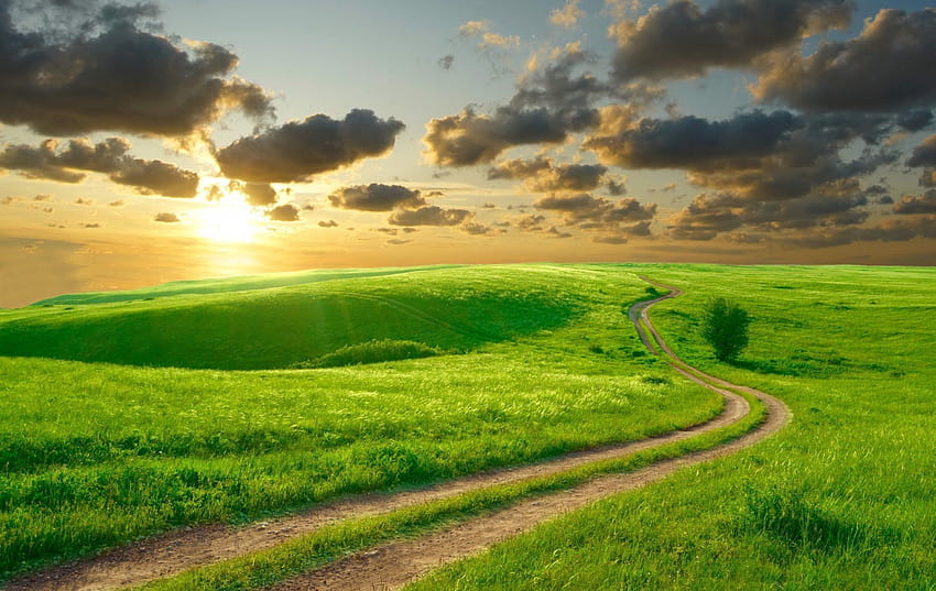 自然の道、夏の空、朝、太陽、雲、美しい丘、丘の風景 高画質の壁紙