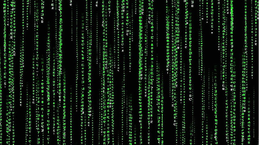 7 Computer Science, green computer HD wallpaper