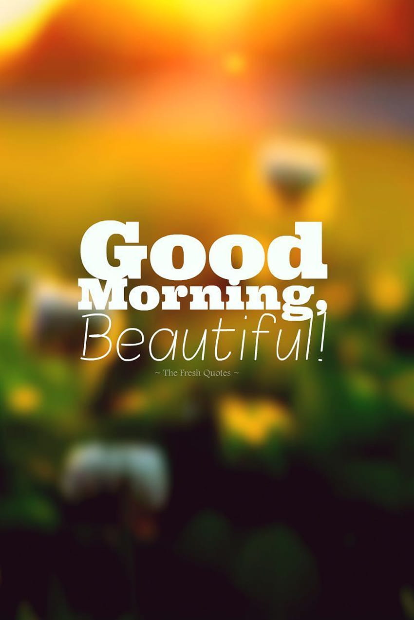 Best of Good Morning 3d With Quotes HD phone wallpaper | Pxfuel