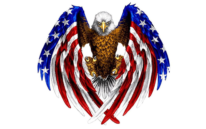 Плешив орел в цвят на американското знаме Червен, син и бял цвят за компютър, таблет и мобилен телефон 1920x1200 : 13, американско знаме с орел HD тапет