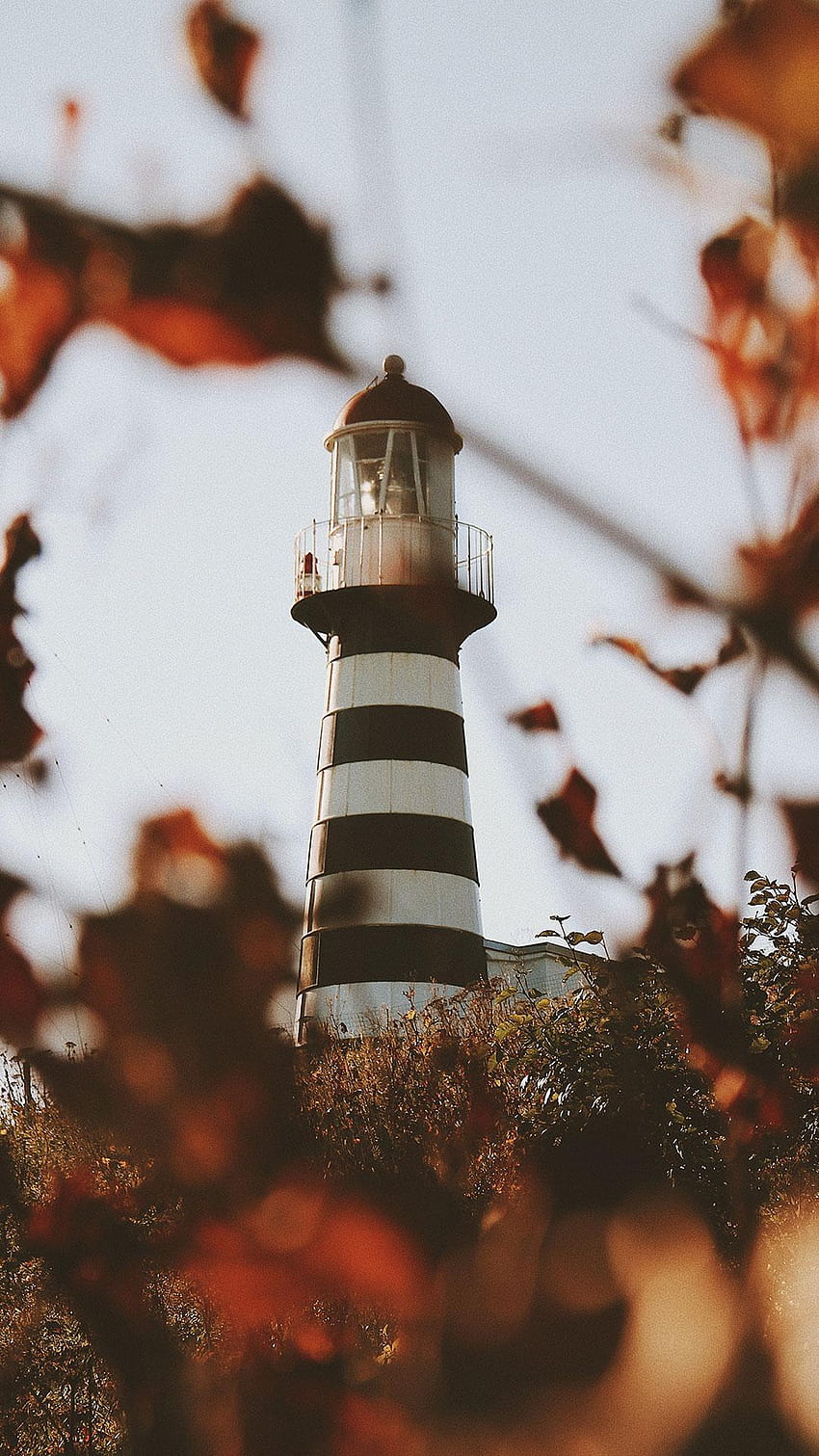 Lighthouse for Android, light house autumn HD phone wallpaper | Pxfuel
