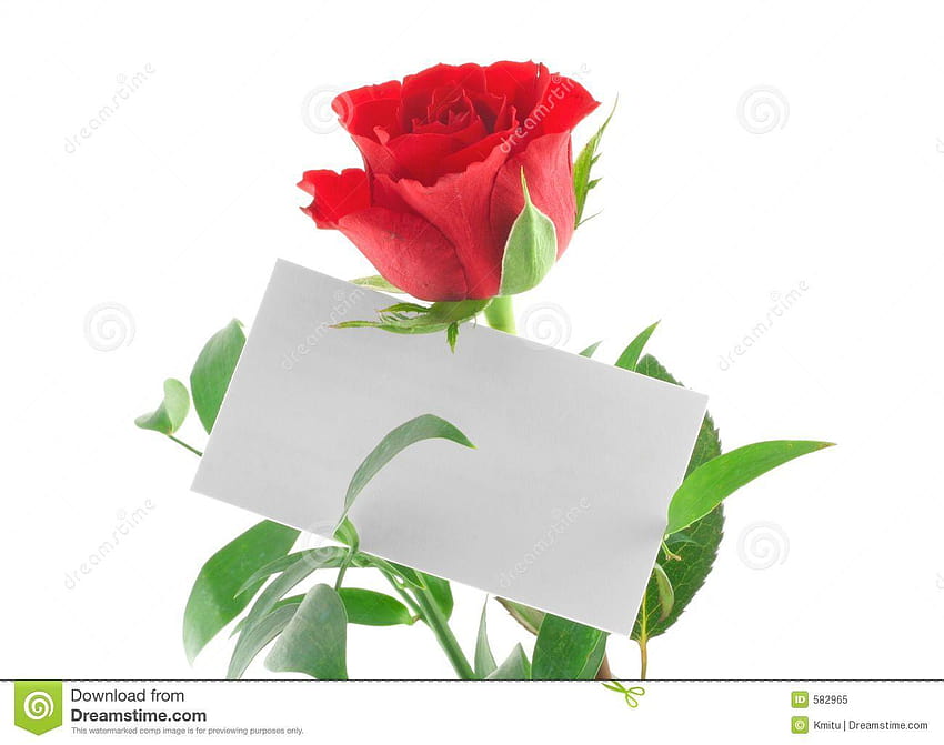 Egy vörös rózsa üres Szerelem Megjegyzés Jogdíjmentes Stock fotó, red rose love single HD wallpaper