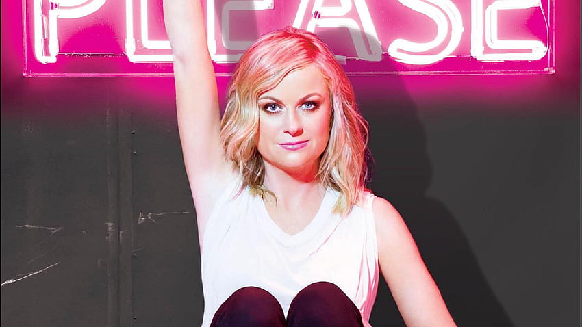 Ultimate holiday book gift guide: 16 Books you should gift this year, amy poehler HD wallpaper