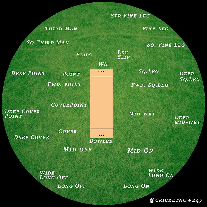 Basic cricket fielding positions HD phone wallpaper