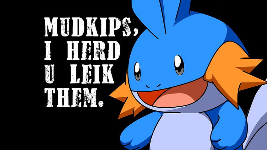 pokemon mudkip meme black backgrounds, mudkip memes HD wallpaper